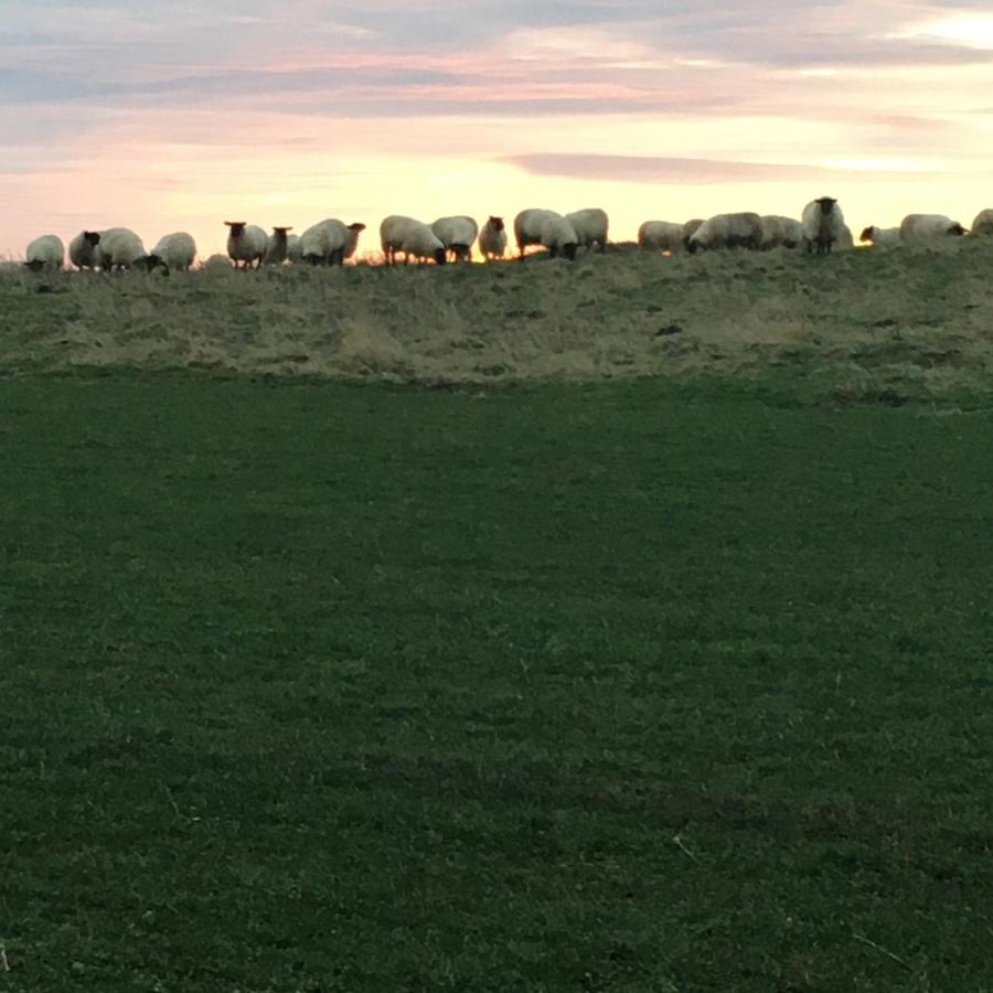 Buckton Farmhouse Belford Bagian luar foto